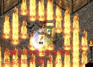 失落传说中道士职业有哪些高效组合搭配技巧? 失落传说中道士职业有哪些高效组合搭配技巧?