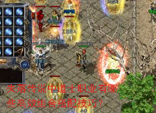 失落传说中道士职业有哪些高效组合搭配技巧? 失落传说中道士职业有哪些高效组合搭配技巧?