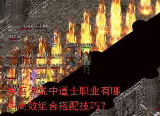 失落传说中道士职业有哪些高效组合搭配技巧? 失落传说中道士职业有哪些高效组合搭配技巧?