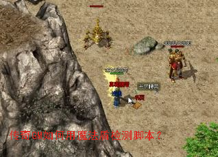 传奇GM如何用魔法盾检测脚本? 传奇GM如何用魔法盾检测脚本?