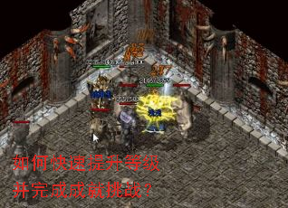 如何快速提升等级并完成成就挑战? 如何快速提升等级并完成成就挑战?