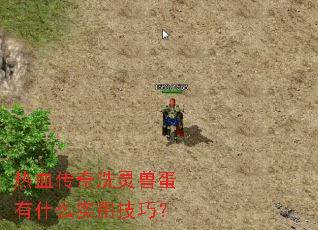 热血传奇洗灵兽蛋有什么实用技巧? 热血传奇洗灵兽蛋有什么实用技巧?