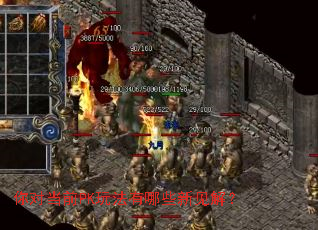 你对当前PK玩法有哪些新见解? 你对当前PK玩法有哪些新见解?