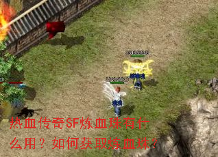 热血传奇SF炼血珠有什么用?如何获取炼血珠? 热血传奇SF炼血珠有什么用?如何获取炼血珠?