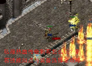 私服热血传奇刺客怎么玩?刺客技能加点与装备选择全攻略 私服热血传奇刺客怎么玩?刺客技能加点与装备选择全攻略