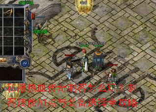 私服热血传奇刺客怎么玩?刺客技能加点与装备选择全攻略 私服热血传奇刺客怎么玩?刺客技能加点与装备选择全攻略