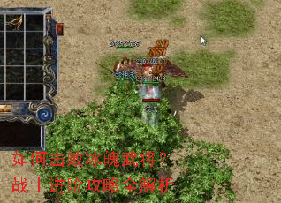 如何击败冰魄武将?战士进阶攻略全解析 如何击败冰魄武将?战士进阶攻略全解析