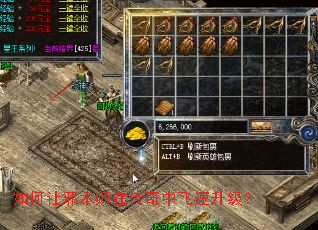 如何让邪术师在传奇中飞速升级? 如何让邪术师在传奇中飞速升级?