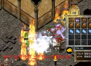 新手如何快速上手良心传奇私服? 新手如何快速上手良心传奇私服?