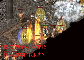 热血传奇特殊戒指掉落怪物有哪些? 热血传奇特殊戒指掉落怪物有哪些?