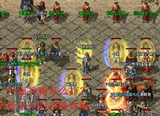 月狐神殿怎么打?新手入门攻略详解 月狐神殿怎么打?新手入门攻略详解