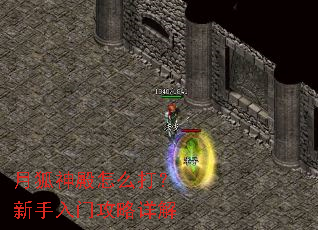 月狐神殿怎么打?新手入门攻略详解 月狐神殿怎么打?新手入门攻略详解
