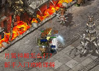 月狐神殿怎么打?新手入门攻略详解 月狐神殿怎么打?新手入门攻略详解