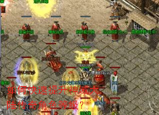 如何快速提升神域大陆传奇角色等级? 如何快速提升神域大陆传奇角色等级?