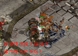 如何快速提升神域大陆传奇角色等级? 如何快速提升神域大陆传奇角色等级?