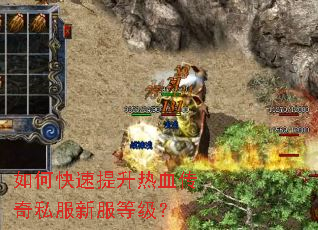 如何快速提升热血传奇私服新服等级? 如何快速提升热血传奇私服新服等级?