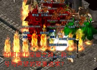 如何踏上荣耀之路:称号与声望的双重追求? 如何踏上荣耀之路:称号与声望的双重追求?