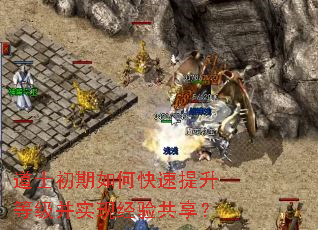 道士初期如何快速提升等级并实现经验共享? 道士初期如何快速提升等级并实现经验共享?