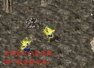 �����������ѡ���ĸ�ְҵ����ʣ�