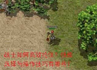 սʿ��θ�Ч���֣�����ѡ���������������Щ��