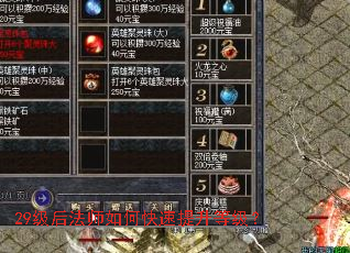 29级后法师如何快速提升等级? 29级后法师如何快速提升等级?