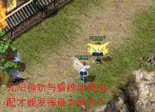 九阳神功与盾牌如何搭配才能发挥最大战力? 九阳神功与盾牌如何搭配才能发挥最大战力?