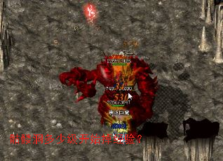 ���ö����ټ���ʼ�����飿