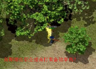 前期哪些职业组合打装备效率高? 前期哪些职业组合打装备效率高?