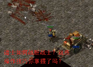 ��ʿ���սʤսʿ����Щ������������������