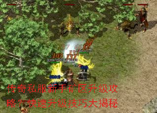 传奇私服新手矿区升级攻略?快速升级技巧大揭秘 传奇私服新手矿区升级攻略?快速升级技巧大揭秘