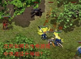 法师如何在传奇游戏中快速提升等级? 法师如何在传奇游戏中快速提升等级?