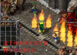 道士神兽多少级才能扛住高级BOSS? 道士神兽多少级才能扛住高级BOSS?