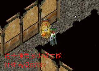 道士神兽多少级才能扛住高级BOSS? 道士神兽多少级才能扛住高级BOSS?