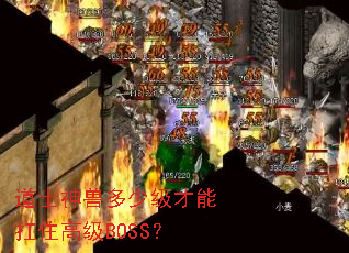 道士神兽多少级才能扛住高级BOSS? 道士神兽多少级才能扛住高级BOSS?