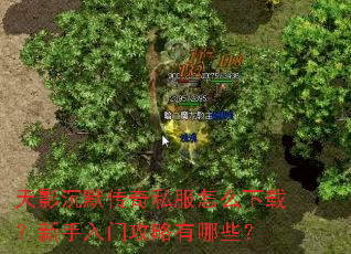 天影沉默传奇私服怎么下载?新手入门攻略有哪些? 天影沉默传奇私服怎么下载?新手入门攻略有哪些?