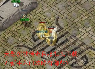 天影沉默传奇私服怎么下载?新手入门攻略有哪些? 天影沉默传奇私服怎么下载?新手入门攻略有哪些?