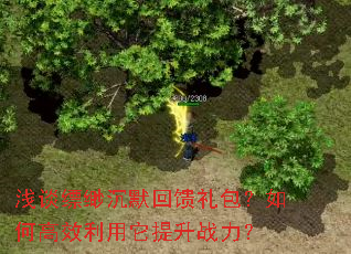 浅谈缥缈沉默回馈礼包?如何高效利用它提升战力? 浅谈缥缈沉默回馈礼包?如何高效利用它提升战力?