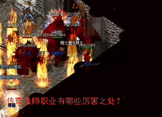 ���淨ʦְҵ����Щ����֮����