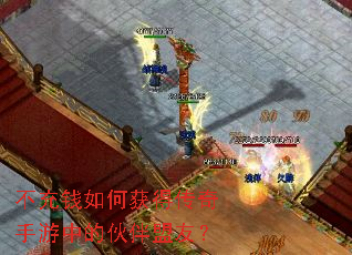 不充钱如何获得传奇手游中的伙伴盟友? 不充钱如何获得传奇手游中的伙伴盟友?