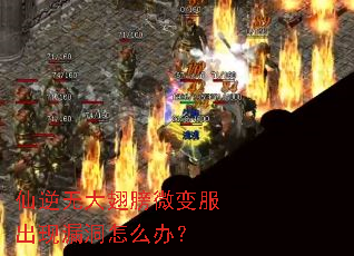 仙逆无大翅膀微变服出现漏洞怎么办? 仙逆无大翅膀微变服出现漏洞怎么办?