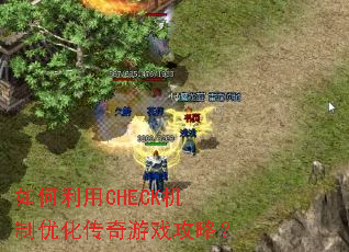 �������CHECK�����Ż�������Ϸ���ԣ�