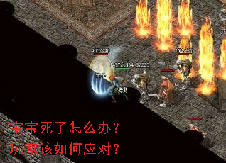 宝宝死了怎么办?玩家该如何应对? 宝宝死了怎么办?玩家该如何应对?