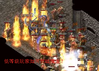 �͵ȼ���������սħ����