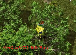 低等级玩家如何挑战魔龙? 低等级玩家如何挑战魔龙?