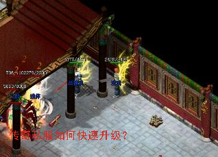 ����˽����ο���������