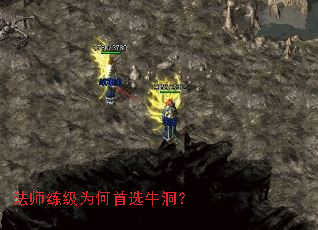 ��ʦ����Ϊ����ѡţ����