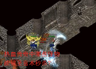 热血传奇中哪些怪物能被圣言术秒杀? 热血传奇中哪些怪物能被圣言术秒杀?