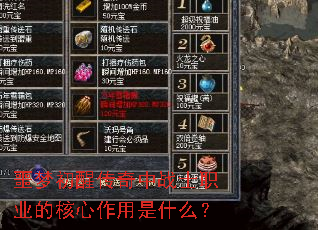 ج�γ��Ѵ�����սʿְҵ�ĺ���������ʲô��