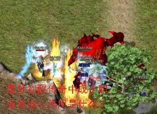 ج�γ��Ѵ�����սʿְҵ�ĺ���������ʲô��