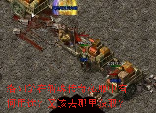 洛阳铲在斩魂传奇私服中有何用途?又该去哪里获取? 洛阳铲在斩魂传奇私服中有何用途?又该去哪里获取?